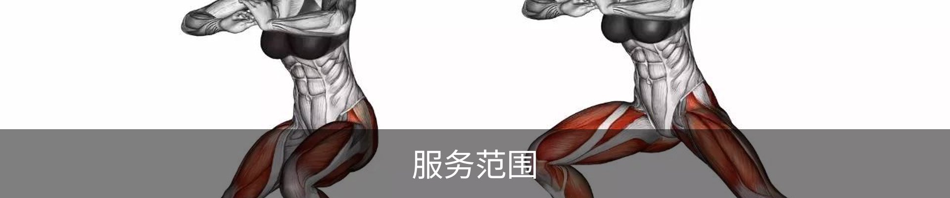 服务范围