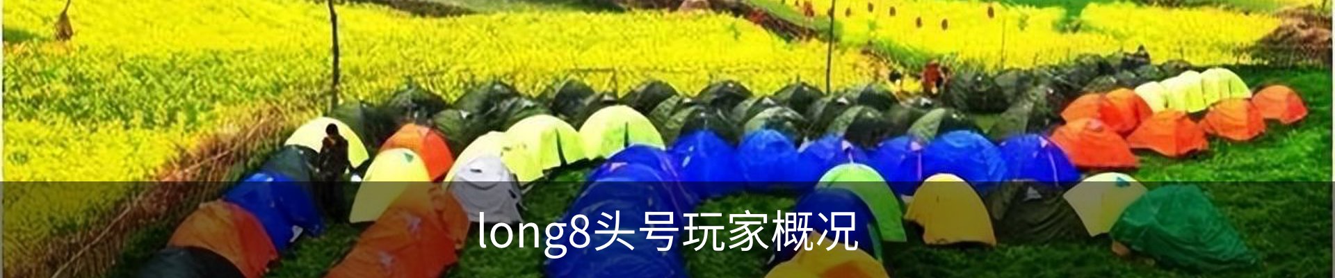 long8头号玩家概况
