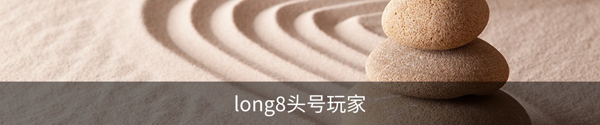 long8头号玩家